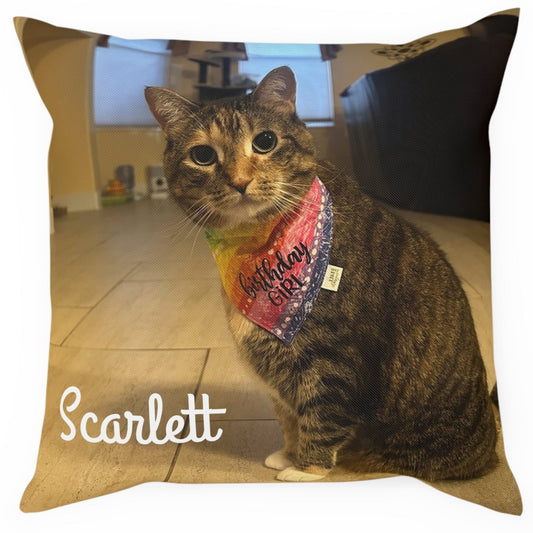 Custom Pet Picture Personalized Cushion