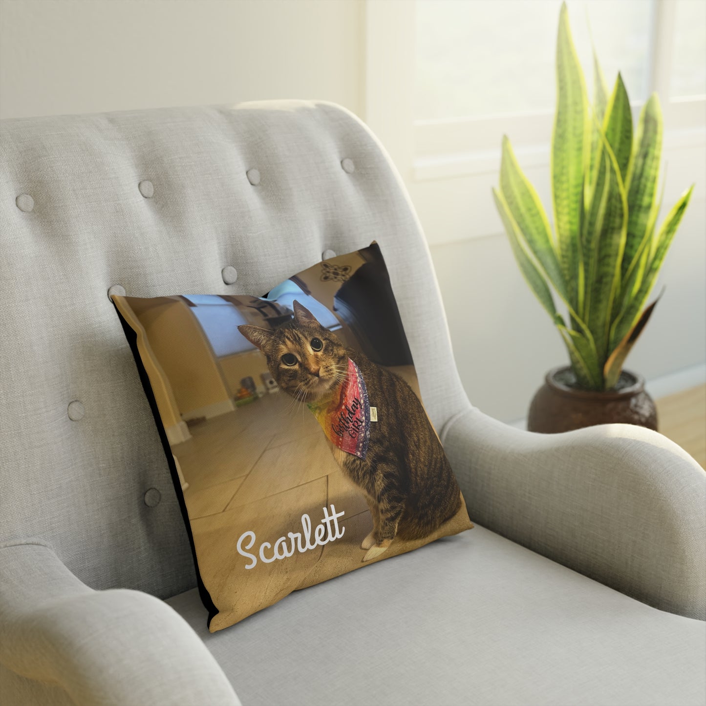 Custom Pet Picture Personalized Cushion