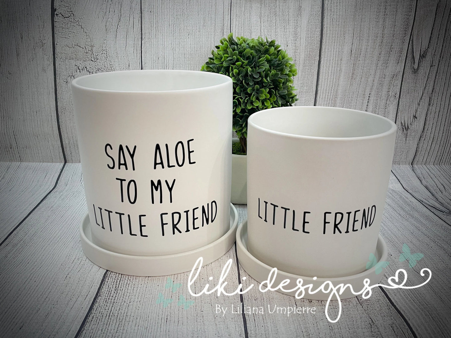 Say Aloe White Ceramic Pot Set