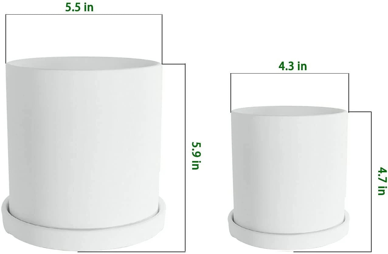 Say Aloe White Ceramic Pot Set