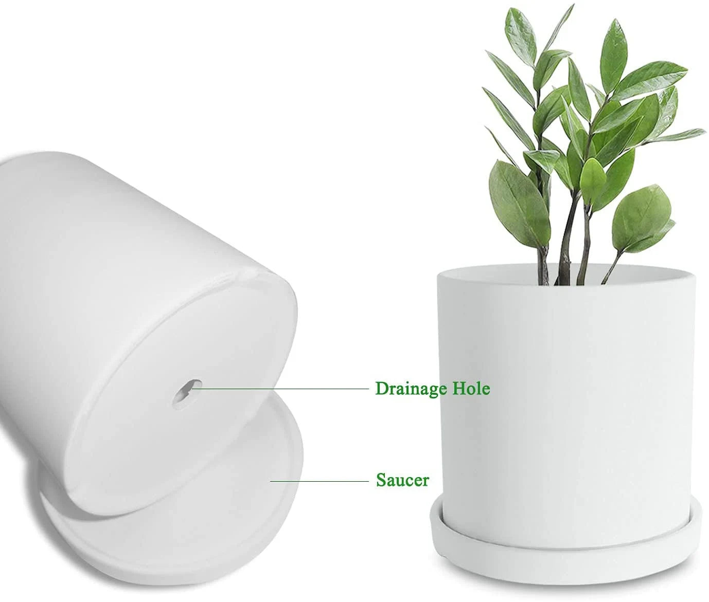 Say Aloe White Ceramic Pot Set